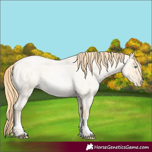 Horse Color:Buckskin Roan Pearl  and Buckskin Roan Pearl 