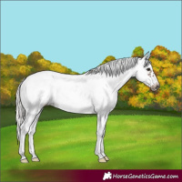 Horse Color:White Spotted Silver Black Frame 
