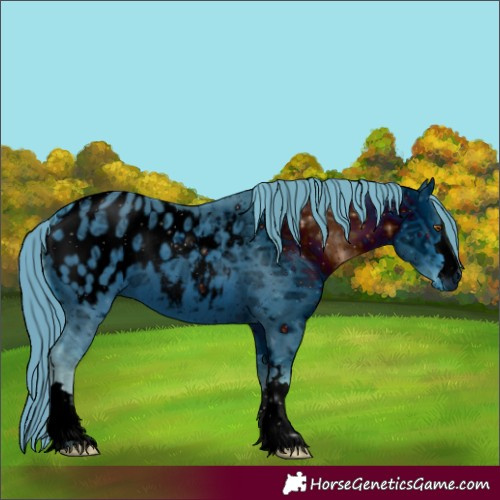 Horse Color:Unknown 
