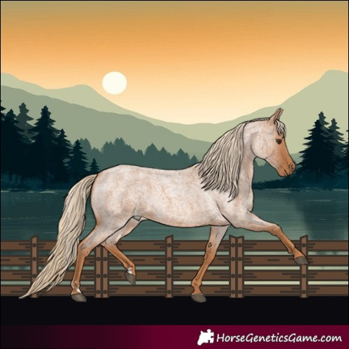 Horse Color:Red Roan 