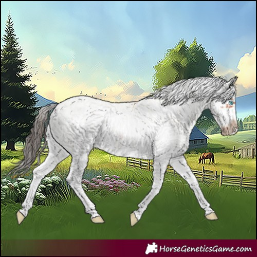 Horse Color:White Spotted Bay Splash  and White Spotted Bay Splash Frame 