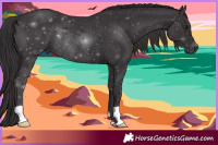Horse Color:Smoky Black Rabicano 