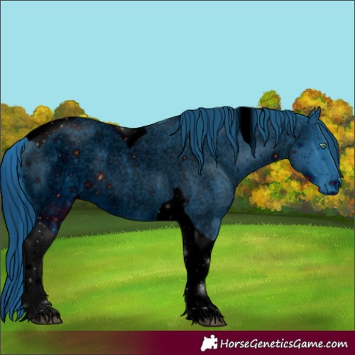 Horse Color:Unknown 