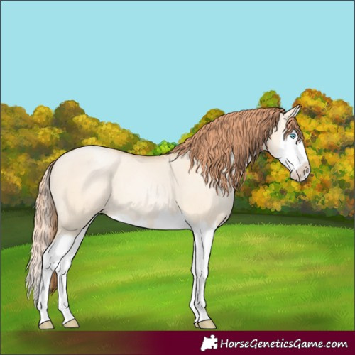 Horse Color:Amber Champagne Pearl Dun Splash 