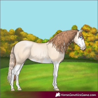 Horse Color:Amber Champagne Pearl Dun Splash 