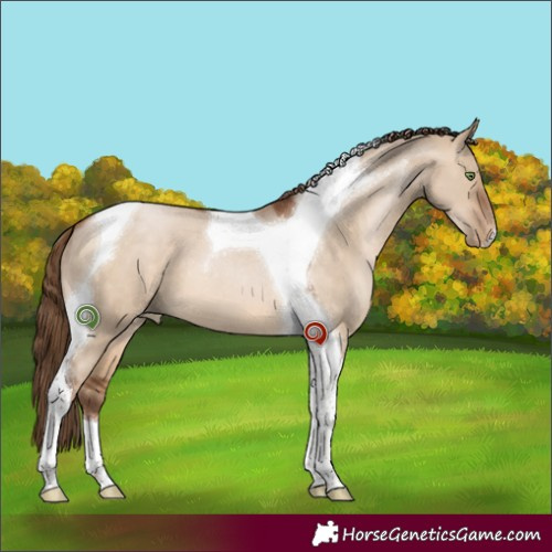 Horse Color:Brown Pearl Dun Tobiano 