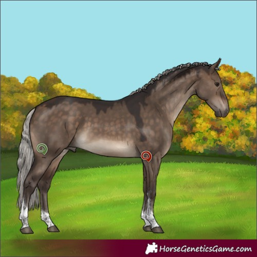 Horse Color:Silver Brown Dun Tobiano 