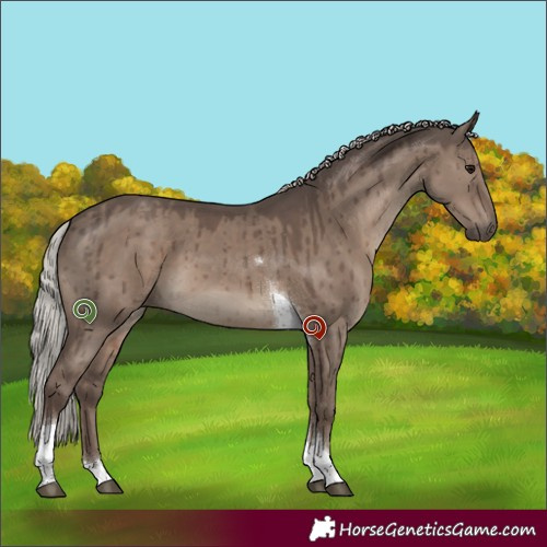 Horse Color:Silver Grullo Tobiano Brindle 