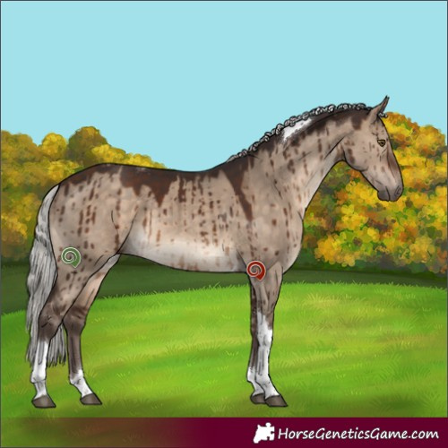 Horse Color:Silver Brown Dun Tobiano Brindle 