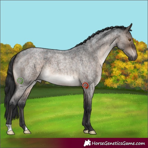 Horse Color:Brown Roan Dun 