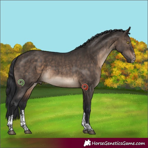Horse Color:Brown Dun Sabino Tobiano Brindle 