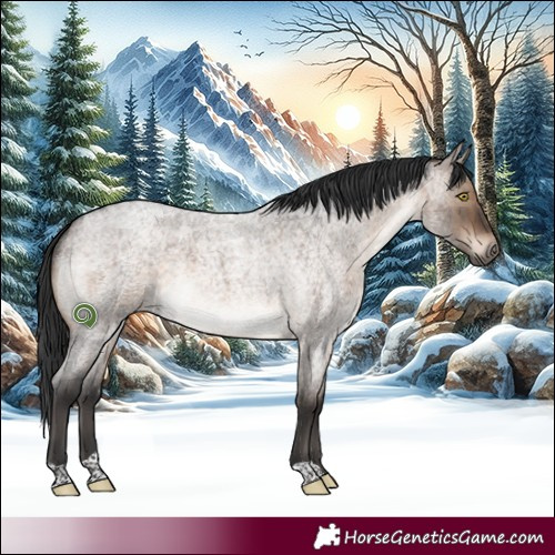 Horse Color:Brown Roan Dun Brindle
