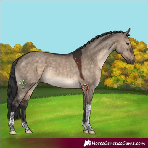 Horse Color:Brown Dun Sabino Tobiano 