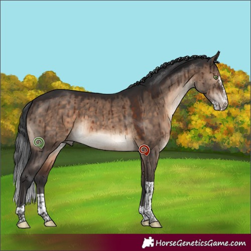 Horse Color:Brown Dun Sabino Tobiano Brindle 