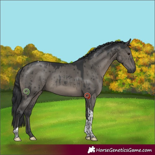 Horse Color:Grullo Tobiano Brindle 