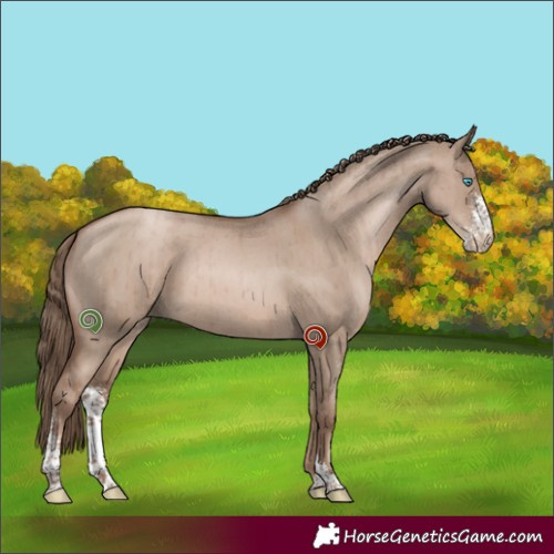 Horse Color:Grullo Pearl Mushroom Sabino Brindle 