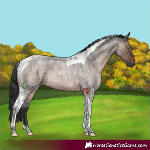 Horse Color:Brown Roan Dun Tobiano 