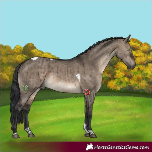 Horse Color:Brown Dun Tobiano Brindle 