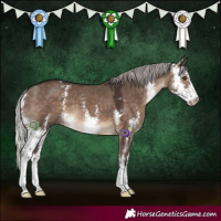 Horse Color:Silver Brown Dun Sabino 