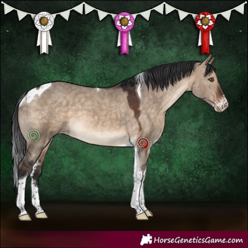 Horse Color:Brown Dun Sabino Tobiano Varnish 