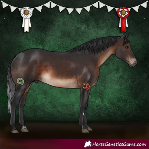 Horse Color:Brown 
