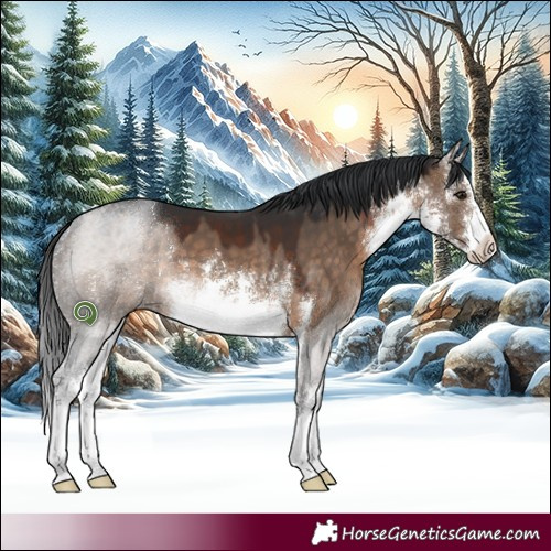 Horse Color:White Spotted Brown Dun 