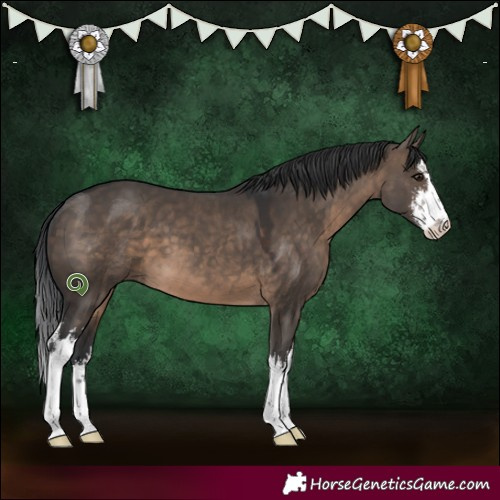 Horse Color:White Spotted Brown Dun 