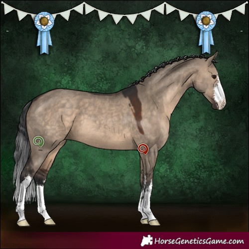Horse Color:White Spotted Brown Dun 