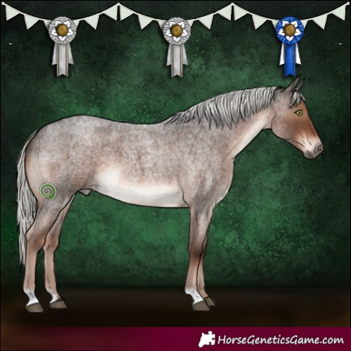 Horse Color:Liver Red Roan Mushroom 