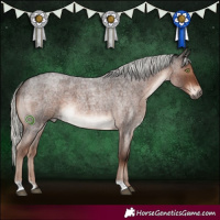 Horse Color:Liver Red Roan Mushroom 