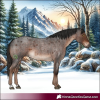 Horse Color:Liver Red Roan 