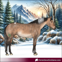 Horse Color:Bay Dun Tobiano 