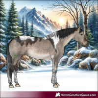Horse Color:Brown Dun Tobiano 