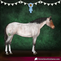 Horse Color:White Spotted Bay Roan