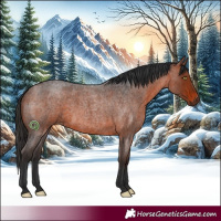 Horse Color:White Spotted Bay Roan