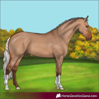 Horse Color:Silver Bay Dun