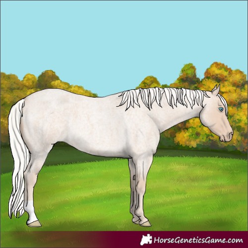 Horse Color:Silver Perlino Roan 