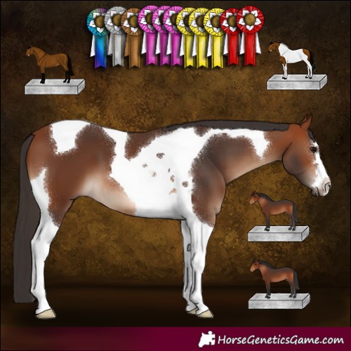 Horse Color:Bay Tobiano 
