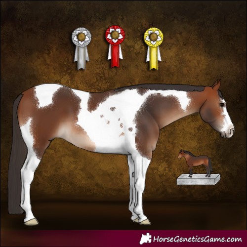 Horse Color:Bay Tobiano 