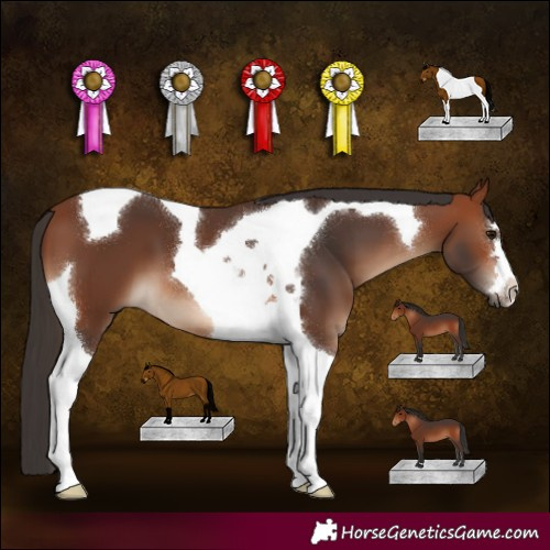 Horse Color:Bay Tobiano 