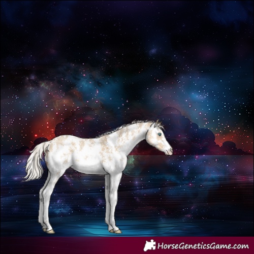 Horse Color:Silver Classic Cream Champagne Dun Sabino 