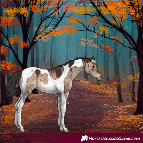 Horse Color:Brown Dun Tobiano Brindle 