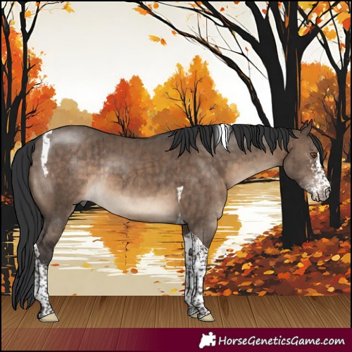 Horse Color:Brown Dun Sabino Tobiano Rabicano Brindle 