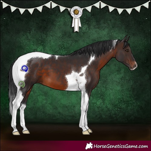 Horse Color:Brown Tobiano 