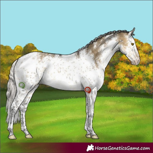 Horse Color:White Spotted Silver Buckskin Dun Sabino 
