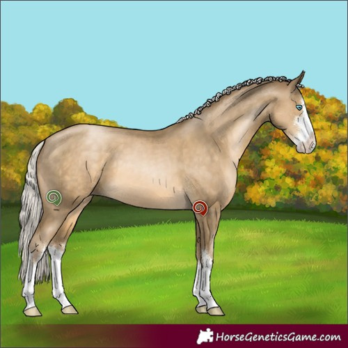 Horse Color:White Spotted Silver Smoky Black Pearl 