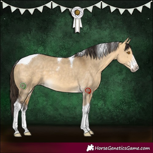 Horse Color:White Spotted Buckskin Dun Tobiano 
