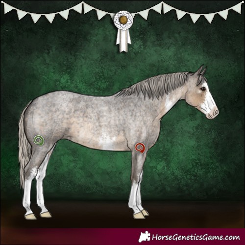 Horse Color:White Spotted Silver Smoky Blue Roan 