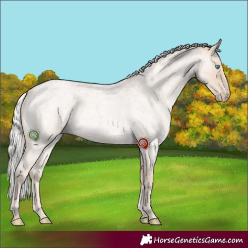 Horse Color:White Spotted Silver Smoky Creme Roan Rabicano 