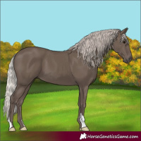 Horse Color:Silver Black 